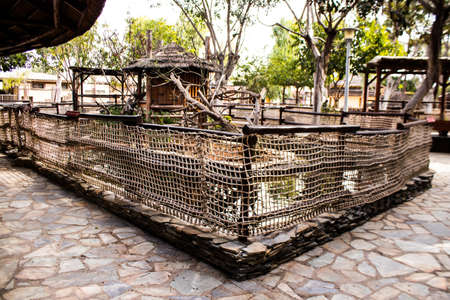 Limassol, Cyprus - December 12, 2021 Limassol Zoo, one of the biggest in Europe and hosts beautiful and interesting animals, natural-looking habitats were created for all types of animals of the zooの写真素材