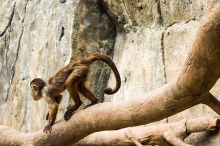 Limassol, Cyprus - December 12, 2021 Limassol Zoo, one of the biggest in Europe and hosts beautiful...