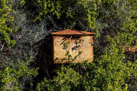 Varosha, Northern Cyprus - January 06, 2022 Cityscape of Varosha, a seaside resort built in 1972, which became a ghost town abandoned by its inhabitants after the Turkish military intervention in 1974のeditorial素材