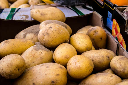 Seville, Spain - July 04, 2022 Vegetables and fruits sold at the Triana market in Seville during the...
