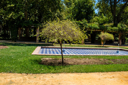 Seville, Spain - July 14, 2022 Maria Luisa Park is the first urban park and one of the green lungs of Seville, emblematic city and capital of the Andalusia region, in southern Spainの写真素材