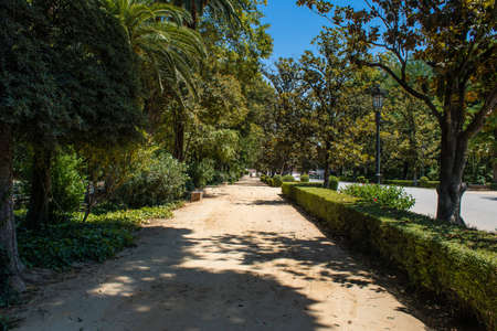 Seville, Spain - July 14, 2022 Maria Luisa Park is the first urban park and one of the green lungs...