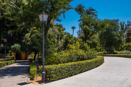 Seville, Spain - July 14, 2022 Maria Luisa Park is the first urban park and one of the green lungs of Seville, emblematic city and capital of the Andalusia region, in southern Spainの写真素材