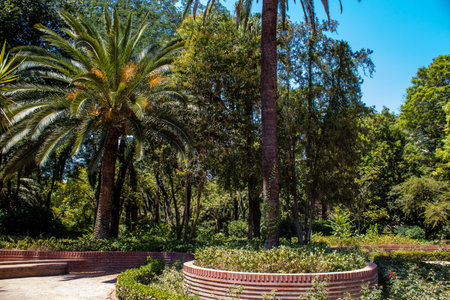 Seville, Spain - July 14, 2022 Maria Luisa Park is the first urban park and one of the green lungs of Seville, emblematic city and capital of the Andalusia region, in southern Spainの写真素材