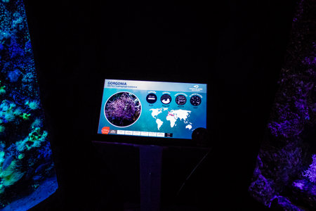 Seville, Spain - August 13, 2022 Modern aquarium of Seville with a wide variety of marine species,...