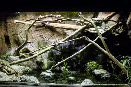 Seville, Spain - August 13, 2022 Modern aquarium of Seville with a wide variety of marine species,...