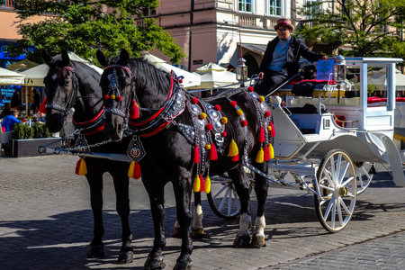 Krakow, Poland - October 08, 2022 Horse drawn carriage rides have become one of the main attractions in Krakow. Their very beautiful horse drawn carriages will take you around the city centerのeditorial素材