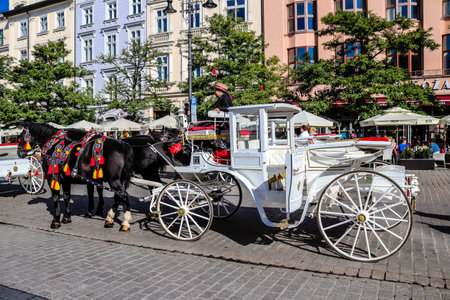 Krakow, Poland - October 08, 2022 Horse drawn carriage rides have become one of the main attractions in Krakow. Their very beautiful horse drawn carriages will take you around the city centerのeditorial素材