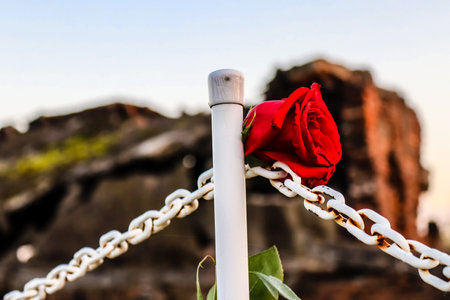 Oswiecim, Poland - October 07, 2022 Birkenau, the largest concentration camp complex in the Third Reich, both a concentration camp and an extermination center, built for exterminating the jews peopleのeditorial素材