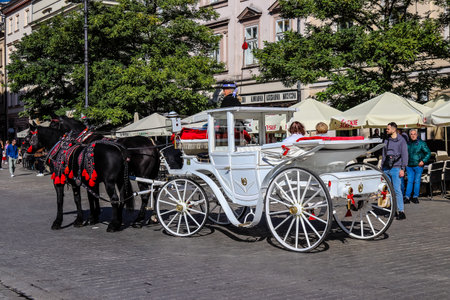 Krakow, Poland - October 08, 2022 Horse drawn carriage rides have become one of the main attractions in Krakow. Their very beautiful horse drawn carriages will take you around the city centerのeditorial素材