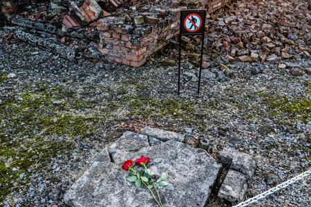 Oswiecim, Poland - October 07, 2022 Birkenau, the largest concentration camp complex in the Third Reich, both a concentration camp and an extermination center, built for exterminating the jews peopleのeditorial素材