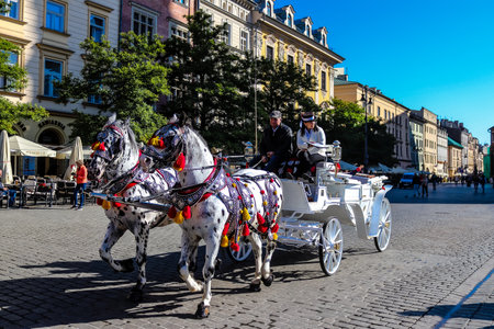 Krakow, Poland - October 08, 2022 Horse drawn carriage rides have become one of the main attractions in Krakow. Their very beautiful horse drawn carriages will take you around the city centerのeditorial素材