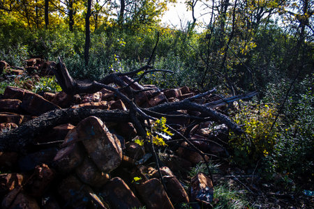 Battlefield near Kherson in Ukraine, after the Russian army has undergone a defeat, the Ukrainian offensive was a success and numerous Russian lossのeditorial素材