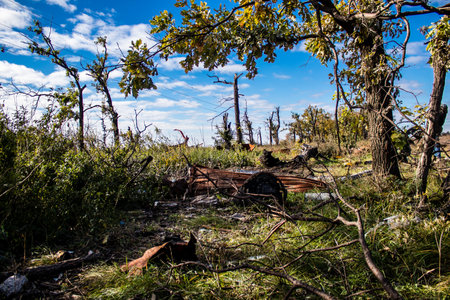 Battlefield near Kherson in Ukraine, after the Russian army has undergone a defeat, the Ukrainian offensive was a success and numerous Russian lossのeditorial素材