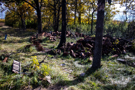 Battlefield near Kherson in Ukraine, after the Russian army has undergone a defeat, the Ukrainian offensive was a success and numerous Russian lossのeditorial素材