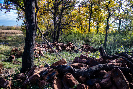 Battlefield near Kherson in Ukraine, after the Russian army has undergone a defeat, the Ukrainian offensive was a success and numerous Russian lossのeditorial素材