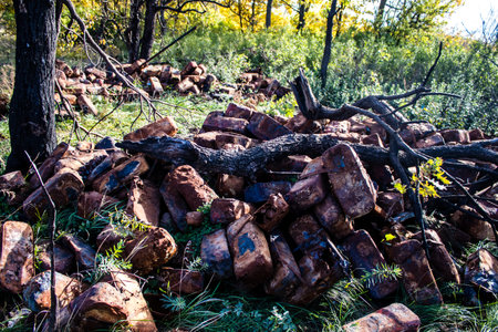 Battlefield near Kherson in Ukraine, after the Russian army has undergone a defeat, the Ukrainian offensive was a success and numerous Russian lossのeditorial素材