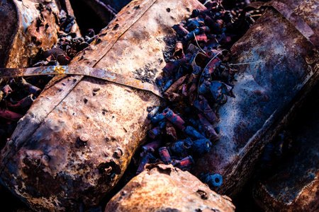 Battlefield near Kherson in Ukraine, after the Russian army has undergone a defeat, the Ukrainian...