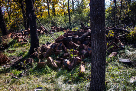 Battlefield near Kherson in Ukraine, after the Russian army has undergone a defeat, the Ukrainian offensive was a success and numerous Russian lossのeditorial素材
