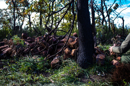 Battlefield near Kherson in Ukraine, after the Russian army has undergone a defeat, the Ukrainian offensive was a success and numerous Russian lossのeditorial素材