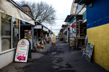 Book market Petrivka located in Kyiv, Ukraine. Famous for its great range of books. Sprawling open air market with stalls selling secondhand books. Despite the war and the fact that there are no tourists, this place remains very popular for locals who visのeditorial素材