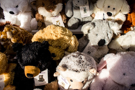 Animal-shaped plush hot water bottle at the Christmas Market in Reims will take place from December...