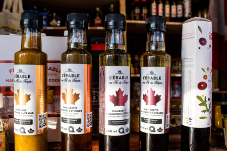 Products from Quebec in Canada at the Christmas Market in Reims will take place from December 1 to 30, 2022. On the Promenades Jean-Louis Schneiter, the 150 chalets of the "Christmas Village" will be deployed.のeditorial素材
