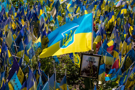 Thousands of flags have been planted at the makeshift memorial for fallen soldiers in Maidan Square in Kyiv. Each flag is a tribute to someone who was killed by Russia's war in Ukraine. The flags of different countries whose fighters are nationals are repのeditorial素材