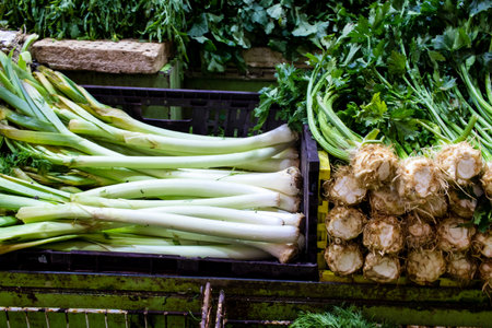 Tel Aviv, Israel - December 18, 2023 Fresh fruits and vegetables sold daily at the Carmel Market (Shuk Hacarmel). This market is one of the largest and most famous in Tel Avivのeditorial素材