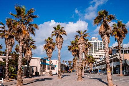 Tel Aviv, Israel - December 14, 2023 Beaches are known for their cleanliness. People often go there to surf, swim and sunbathe. Pleasant temperatures in Israel allow you to go to the beach every day.のeditorial素材