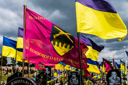 Kharkiv, Ukraine, June 13, 2024 The yellow and blue flags stretch as far as the eye can see at Aleya Slavy, a military cemetery south of Kharkiv. Here rest the soldiers, heroes who defended Ukraine.のeditorial素材