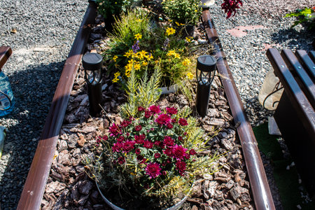 Lviv, Ukraine, August 28, 2024 Military cemetery of Lviv. Graves of soldiers, heroes who defended Ukraine are covered with flowers stretching as far as the eye can see. New burials being added daily.のeditorial素材