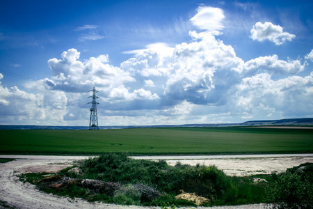 Reims, France, May 14, 2025. Landscape near the city of Reims in France. In spring, the cereal fields in the Champagne plain begin to grow and cover the horizon with an intense green.の写真素材