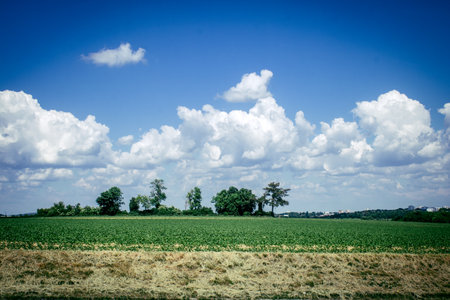 Reims, France, May 14, 2025. Champagne landscape near the city of Reims in France. In spring, the cereal fields in the Champagne plain begin to grow and cover the horizon with an intense green.の写真素材