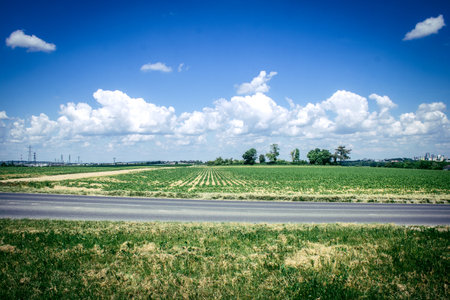 Reims, France, May 14, 2025. Champagne landscape near the city of Reims in France. In spring, the cereal fields in the Champagne plain begin to grow and cover the horizon with an intense green.の写真素材
