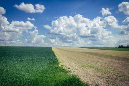 Reims, France, May 14, 2025. Champagne landscape near the city of Reims in France. In spring, the cereal fields in the Champagne plain begin to grow and cover the horizon with an intense green.の写真素材