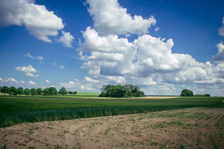 Reims, France, May 14, 2025. Champagne landscape near the city of Reims in France. In spring, the cereal fields in the Champagne plain begin to grow and cover the horizon with an intense green.の写真素材