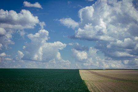 Reims, France, May 14, 2025. Champagne landscape near the city of Reims in France. In spring, the cereal fields in the Champagne plain begin to grow and cover the horizon with an intense green.の写真素材