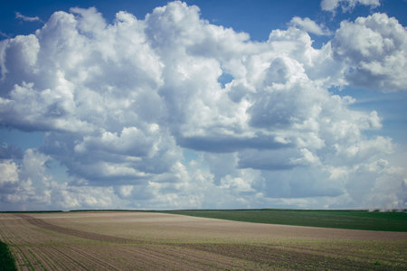 Reims, France, May 14, 2025. Champagne landscape near the city of Reims in France. In spring, the cereal fields in the Champagne plain begin to grow and cover the horizon with an intense green.の写真素材