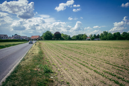 Reims, France, May 14, 2025. Champagne landscape near the city of Reims in France. In spring, the cereal fields in the Champagne plain begin to grow and cover the horizon with an intense green.の写真素材