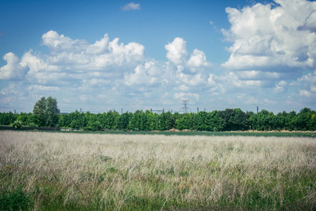 Reims, France, May 14, 2025. Landscape near the city of Reims in France. In spring, the cereal fields in the Champagne plain begin to grow and cover the horizon with an intense green.の写真素材