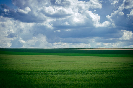 Reims, France, May 14, 2025. Landscape near the city of Reims in France. In spring, the cereal fields in the Champagne plain begin to grow and cover the horizon with an intense green.の写真素材