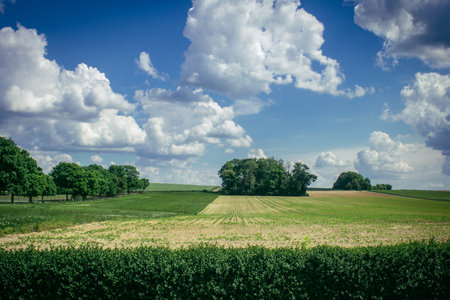 Reims, France, May 14, 2025. Landscape near the city of Reims in France. In spring, the cereal fields in the Champagne plain begin to grow and cover the horizon with an intense green.の写真素材