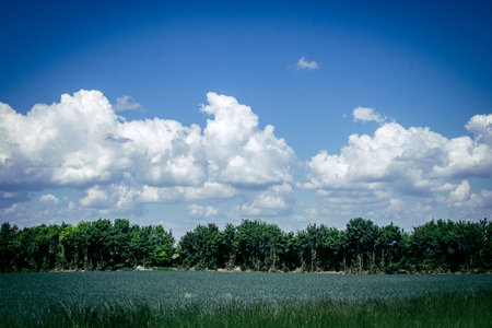 Reims, France, May 14, 2025. Champagne landscape near the city of Reims in France. In spring, the cereal fields in the Champagne plain begin to grow and cover the horizon with an intense green.の写真素材