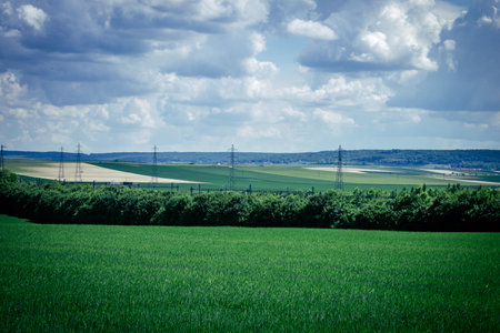 Reims, France, May 14, 2025. Landscape near the city of Reims in France. In spring, the cereal fields in the Champagne plain begin to grow and cover the horizon with an intense green.の写真素材