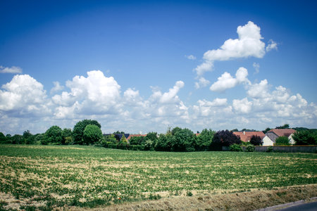 Reims, France, May 14, 2025. Landscape near the city of Reims in France. In spring, the cereal fields in the Champagne plain begin to grow and cover the horizon with an intense green.の写真素材