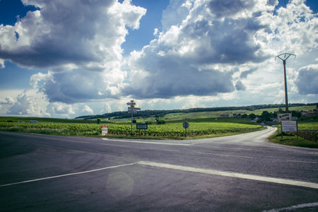 Reims, France, May 13, 2025. Vineyards near Reims. Wines are known worldwide and are unique because they only grow in this region of France. In spring, the leaves begin to grow.の写真素材