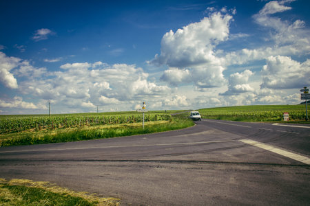Reims, France, May 13, 2025. Vineyards near Reims. Wines are known worldwide and are unique because they only grow in this region of France. In spring, the leaves begin to grow.の写真素材