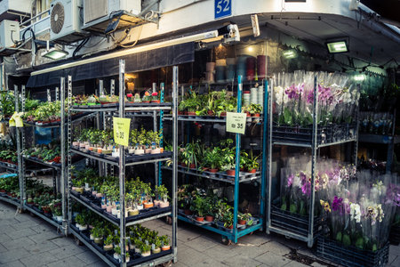 Tel Aviv, Israel, âMarch 16, 2026 Daily scene on the iconic Dizengoff Street, showing the bustling urban atmosphere with its famous Bauhaus buildings and sidewalk cafes. As a central commercial and social hub, the street reflects the city's unique blendのeditorial素材