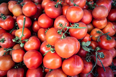 Hebron, West Bank, Palestine - February 12, 2026 Fresh vegetables on display at a traditional street stall in the old city of Hebron. Daily economic activity and trade in the Palestinian territory.のeditorial素材